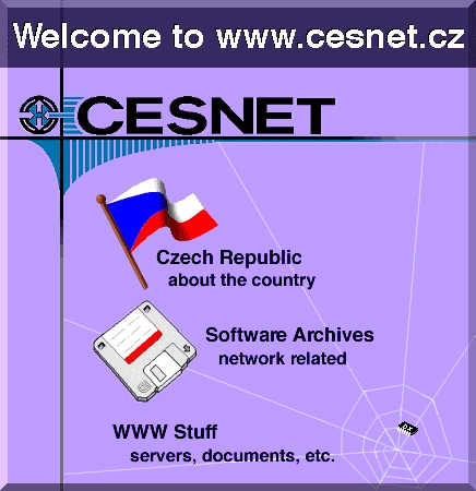 Internetová prezentace CESNET v 90. letech